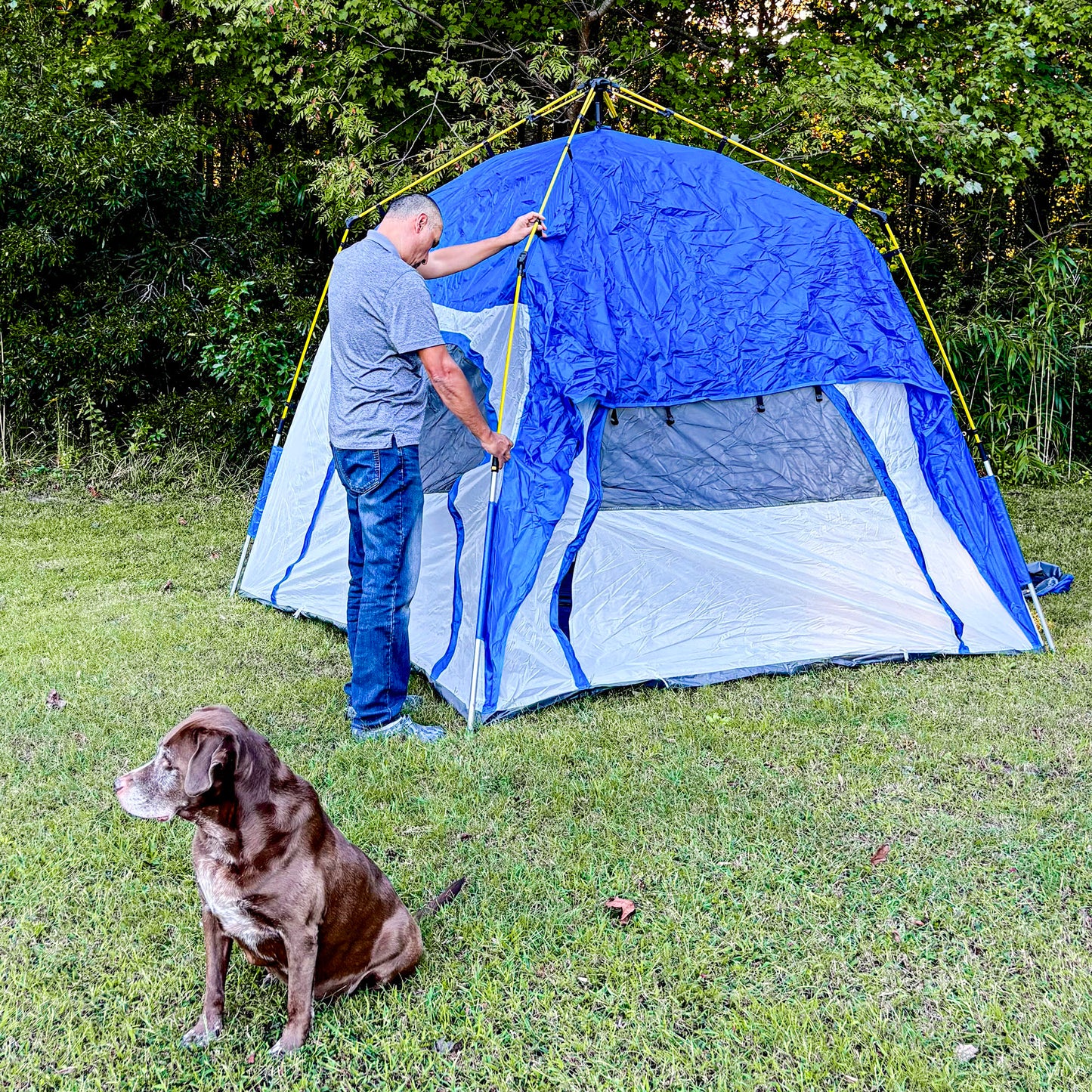 4 Person Pop Up Camping Tent Quick Setup Automatic Hydraulic Family Travel Tent w/ Windows Doors Carry Bag