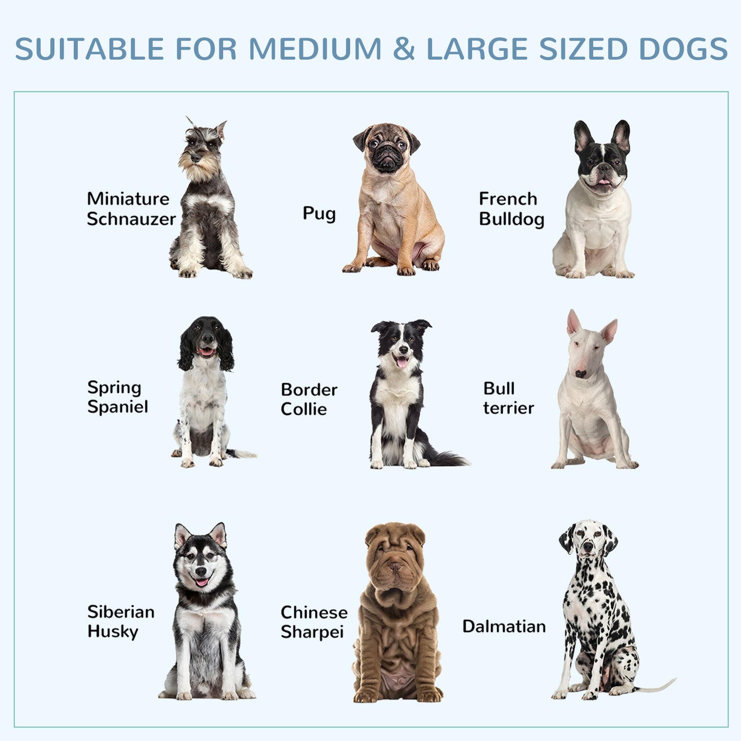43" Heavy Duty Dog Crate Metal Cage Kennel with Lockable Wheels, Double Door and Removable Tray, Gray
